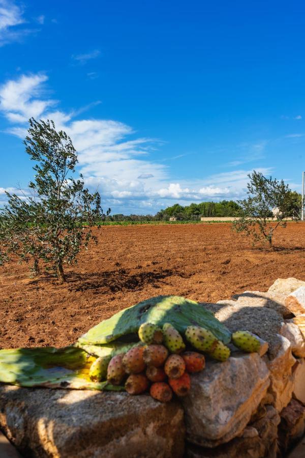 Masseria Tornesella Don Giuliano Pension Parabita Buitenkant foto