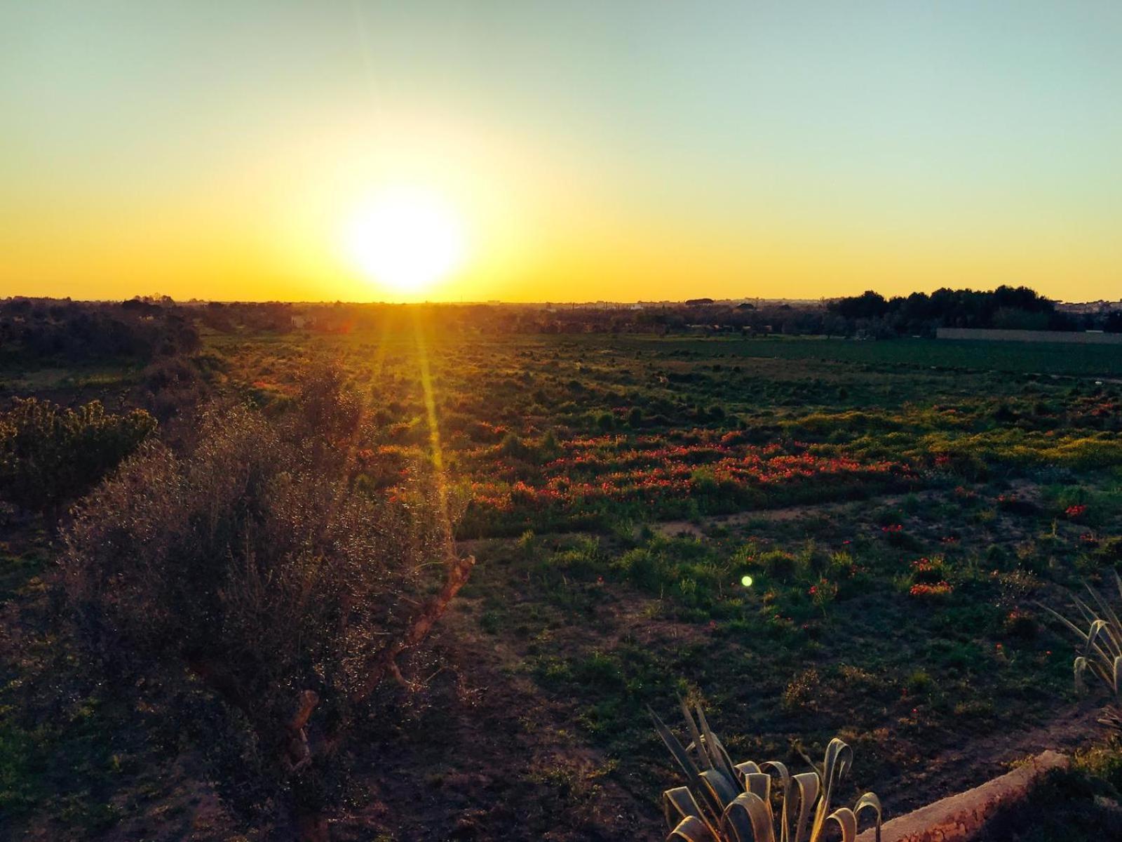 Masseria Tornesella Don Giuliano Pension Parabita Buitenkant foto