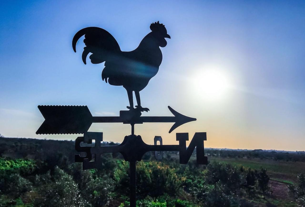 Masseria Tornesella Don Giuliano Pension Parabita Buitenkant foto